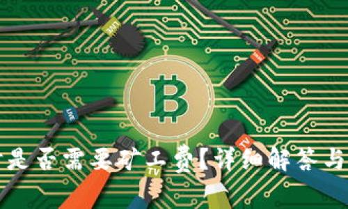 TP钱包充币时是否需要矿工费？详细解答与常见问题解析
