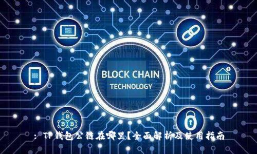 : TP钱包公链在哪里？全面解析及使用指南