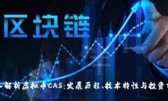 深入解析虚拟币CAS：发展历程、技术特性与投资
