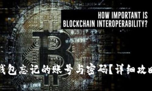 如何找回TP钱包忘记的账号与密码？详细攻略与解决方案