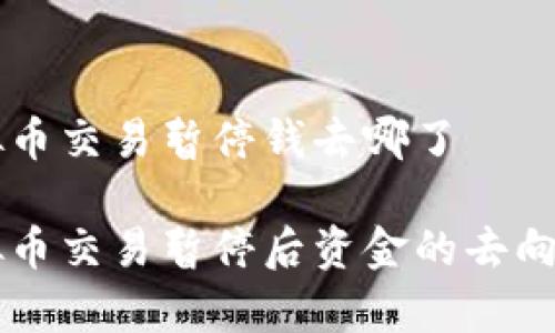 虚拟币交易暂停钱去哪了

虚拟币交易暂停后资金的去向分析