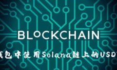 如何在TP钱包中使用Solana链上的USDT：全面指南