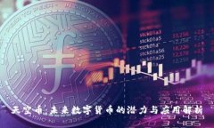 天空币：未来数字货币的潜力与应用解析