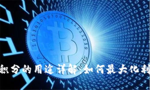 TP钱包100积分的用途详解：如何最大化利用你的积分