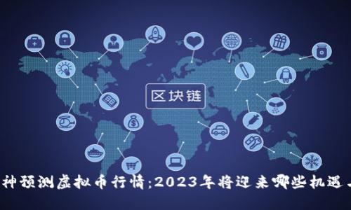 知乎大神预测虚拟币行情：2023年将迎来哪些机遇与挑战？