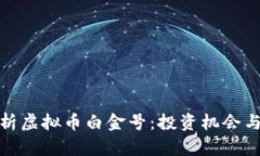 : 全面解析虚拟币白金号：投资机会与风险分析