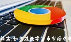 虚拟币精英：如何在数字货币市场中脱颖而出