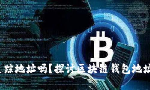 t p钱包能追踪地址吗？探讨区块链钱包地址追踪的原理