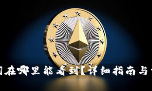 TP钱包助记词在哪里能看到？详细指南与常见问题解答