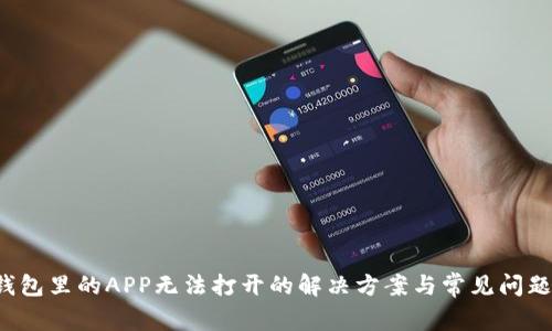 TP钱包里的APP无法打开的解决方案与常见问题解析