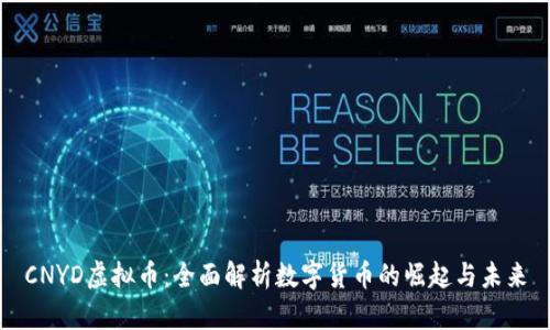 CNYD虚拟币：全面解析数字货币的崛起与未来