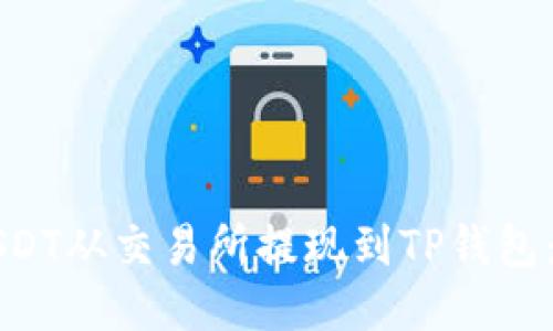 如何将USDT从交易所提现到TP钱包：详细指南