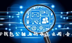 空投TP钱包公链上的币怎么用：全面指南
