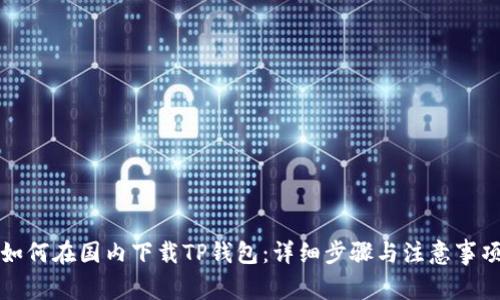 如何在国内下载TP钱包：详细步骤与注意事项