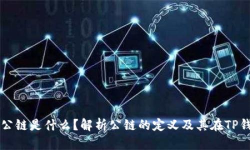 TP钱包中的公链是什么？解析公链的定义及其在TP钱包中的应用
