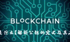 TP钱包中的公链是什么？解析公链的定义及其在