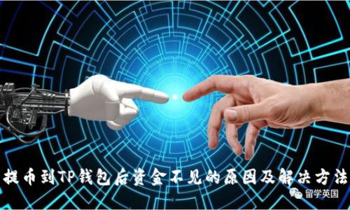 提币到TP钱包后资金不见的原因及解决方法