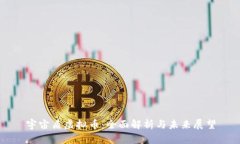 宇宙盾虚拟币：全面解析与未来展望