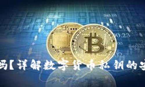 TP钱包私钥分大小写吗？详解数字货币私钥的安全性与使用注意事项
