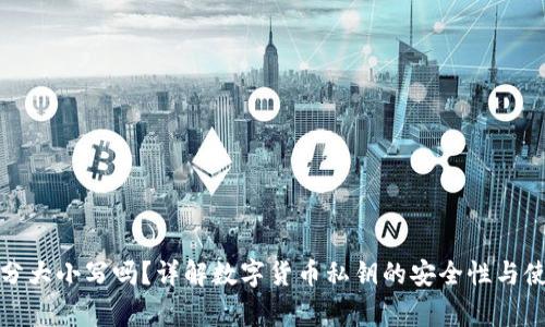 TP钱包私钥分大小写吗？详解数字货币私钥的安全性与使用注意事项