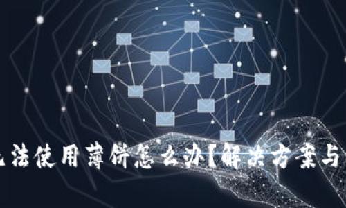 TP钱包无法使用薄饼怎么办？解决方案与步骤解析