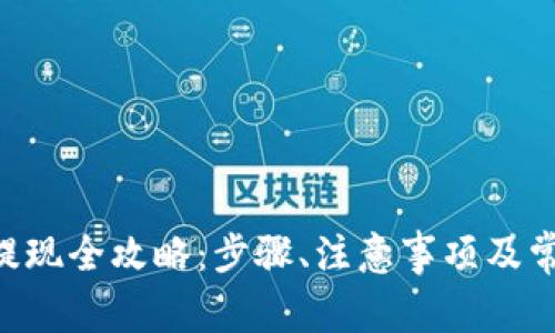 虚拟币U币提现全攻略：步骤、注意事项及常见问题解答