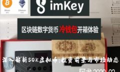 深入解析SOK虚拟币：投资前景与市场动态