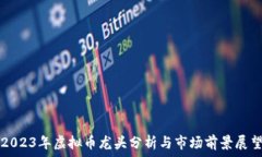   2023年虚拟币龙头分析与市场前景展望