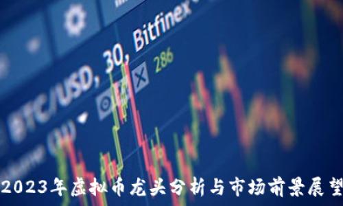   
2023年虚拟币龙头分析与市场前景展望