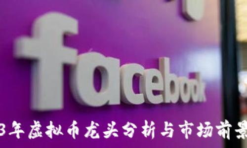   
2023年虚拟币龙头分析与市场前景展望
