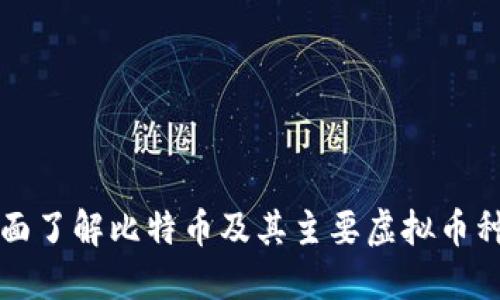 全面了解比特币及其主要虚拟币种类