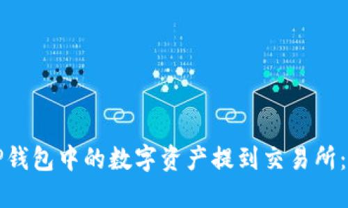 如何将TP钱包中的数字资产提到交易所：详细指南