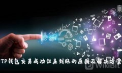 TP钱包交易成功但未到账的原因及解决方案