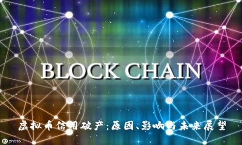 虚拟币信用破产：原因、影响与未来展望