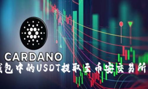 如何将TP钱包中的USDT提取至币安交易所的详细指南