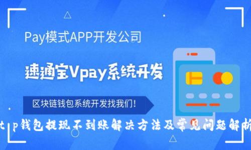 t p钱包提现不到账解决方法及常见问题解析