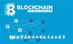中国数字虚拟币的崛起与未来展望