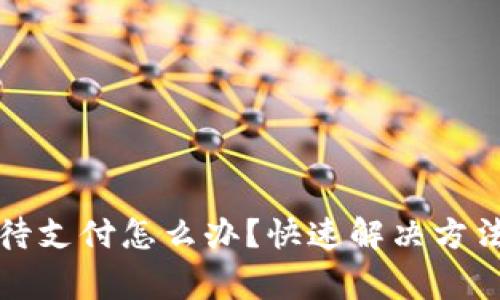 TP钱包闪兑一直待支付怎么办？快速解决方法与常见问题分析