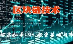 深入了解虚拟币hQt：投资策略与市场分析