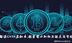 全面解读CAVA虚拟币：投资前必知的关键点与市场