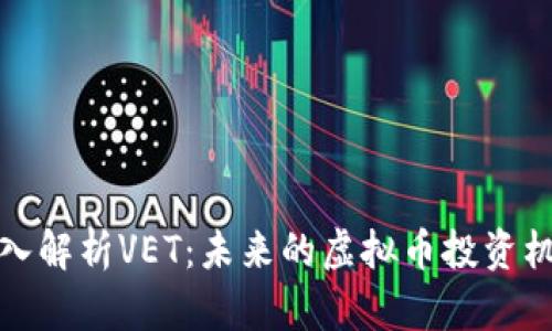 深入解析VET：未来的虚拟币投资机会