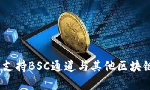 TP钱包使用指南：支持BSC通道与其他区块链网络的综合分析
