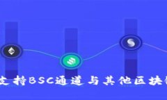 TP钱包使用指南：支持BSC通道与其他区块链网络的