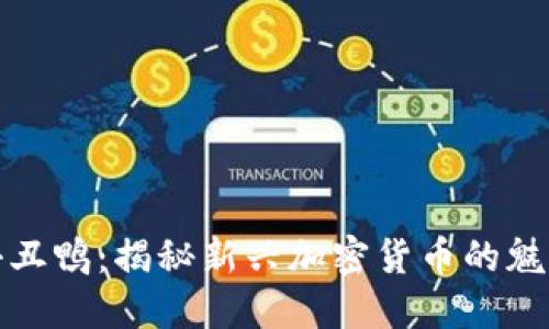 虚拟币小丑鸭：揭秘新兴加密货币的魅力与风险