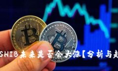 虚拟币SHIB未来是否会大涨？分析与趋势展望