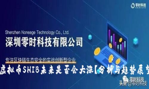 虚拟币SHIB未来是否会大涨？分析与趋势展望