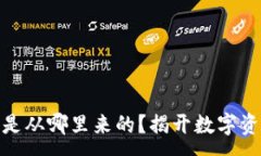 :TP钱包中的币是从哪里来的？揭开数字资产的来