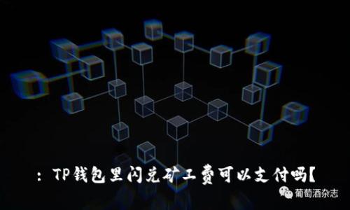 : TP钱包里闪兑矿工费可以支付吗？