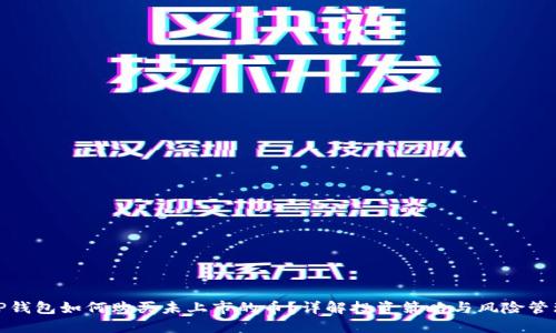 TP钱包如何购买未上市的币？详解投资策略与风险管理