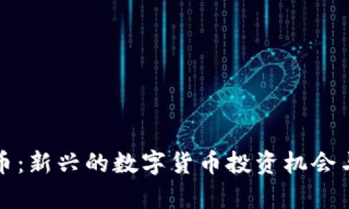 小猪虚拟币：新兴的数字货币投资机会与风险分析